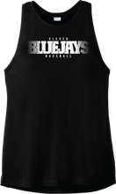Load image into Gallery viewer, Bluejays Team Mascot Baseball