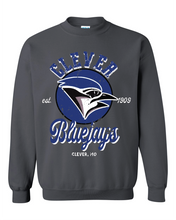 Load image into Gallery viewer, Vintage Clever Bluejays