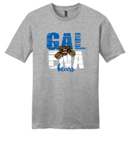 Galena Bears Distressed T-shirt