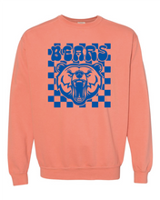 Load image into Gallery viewer, BEARS Sweatshirts
