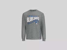 Load and play video in Gallery viewer, Sweatshirt Options - PREORDER
